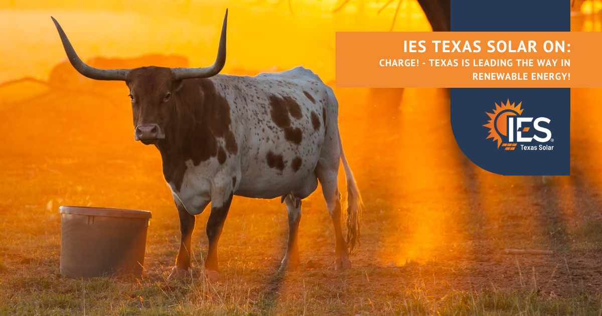 Texas takes the leads in renewable energy!